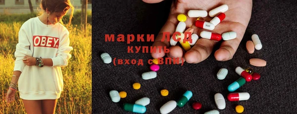 ПСИЛОЦИБИНОВЫЕ ГРИБЫ Алексин