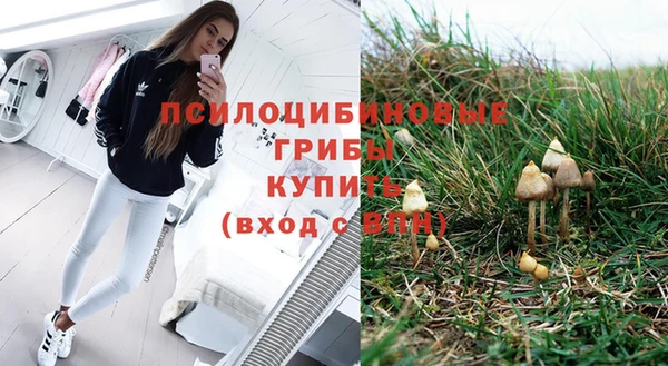 соль курить ск Нея