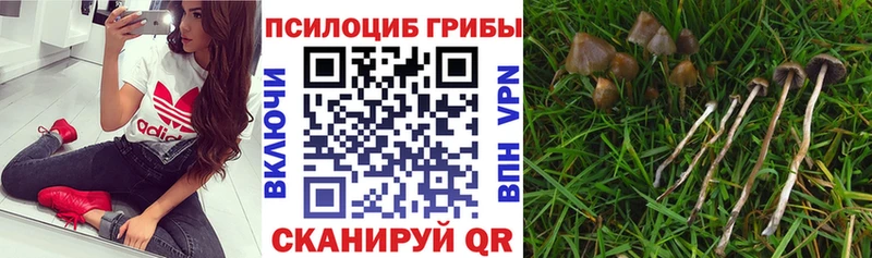 Галлюциногенные грибы GOLDEN TEACHER  Сунжа 