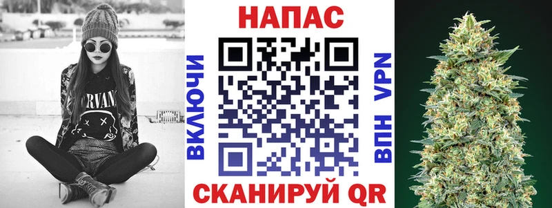 купить наркоту  МЕГА ССЫЛКА  Бошки Шишки планчик  Сунжа 